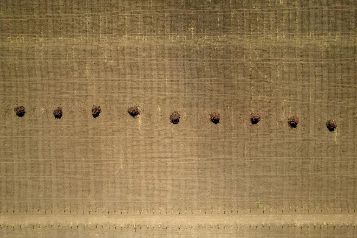 Экстремальная засуха в штате Калифорния