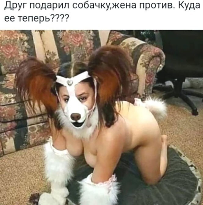 Смешные и познавательные картинки