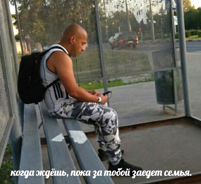 Смешные и познавательные картинки