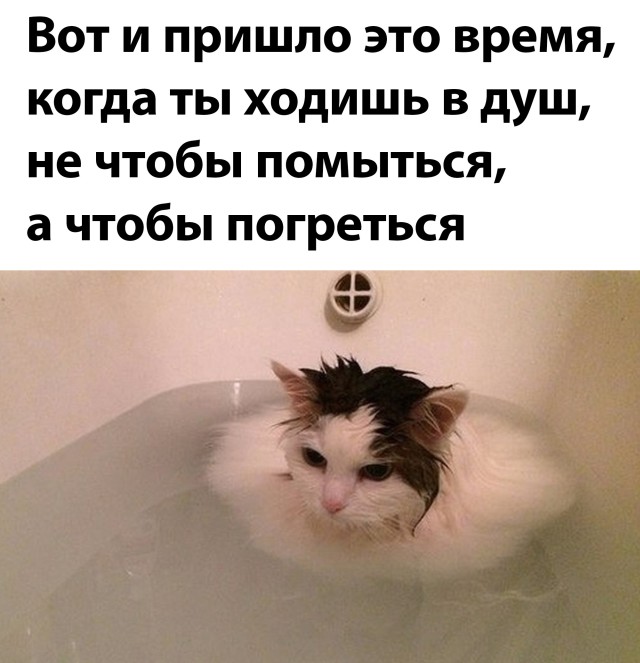 Смешные картинки 9 сентября 2021 года