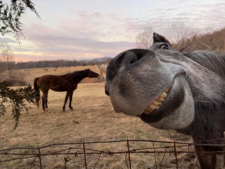 15 человек, которые просто нажали на кнопку фотоаппарата и заставили рыдать от смеха весь интернет