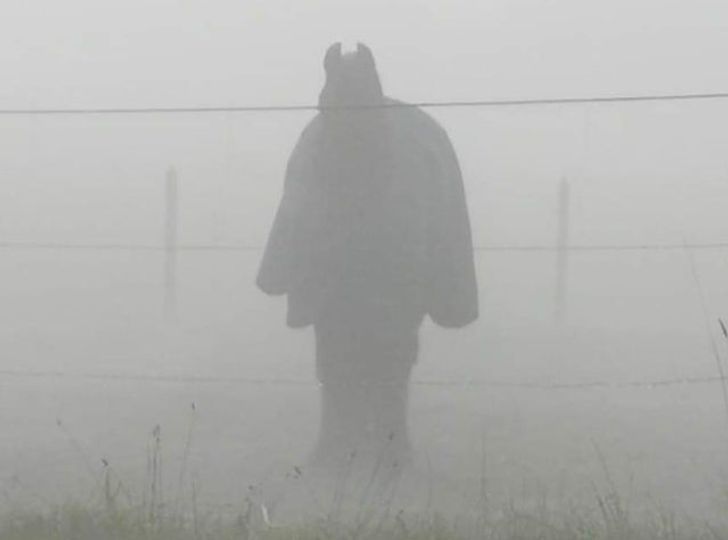 15 человек, которые просто нажали на кнопку фотоаппарата и заставили рыдать от смеха весь интернет