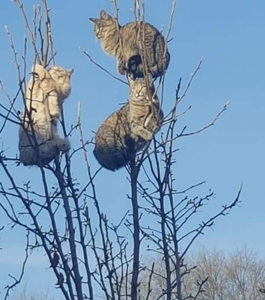 Наша реальность точно сломана полностью и этот пост тому полное подтверждение