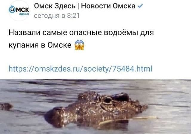 Забавные и странные заголовки российских и зарубежных СМИ