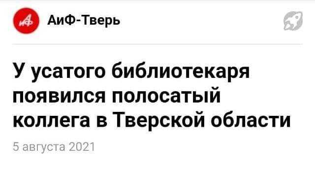 Забавные и странные заголовки российских и зарубежных СМИ