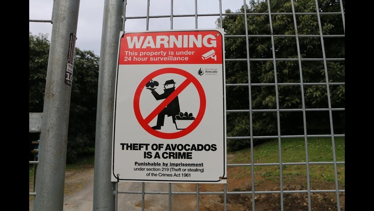 Фото №2 - 5 необычных вещей, которые массово воруют в разных странах