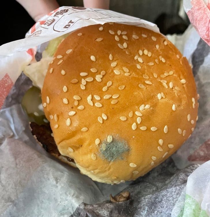 15+ человек, которые даже зубы почистить не успели, а утро уже преподнесло им сюрприз