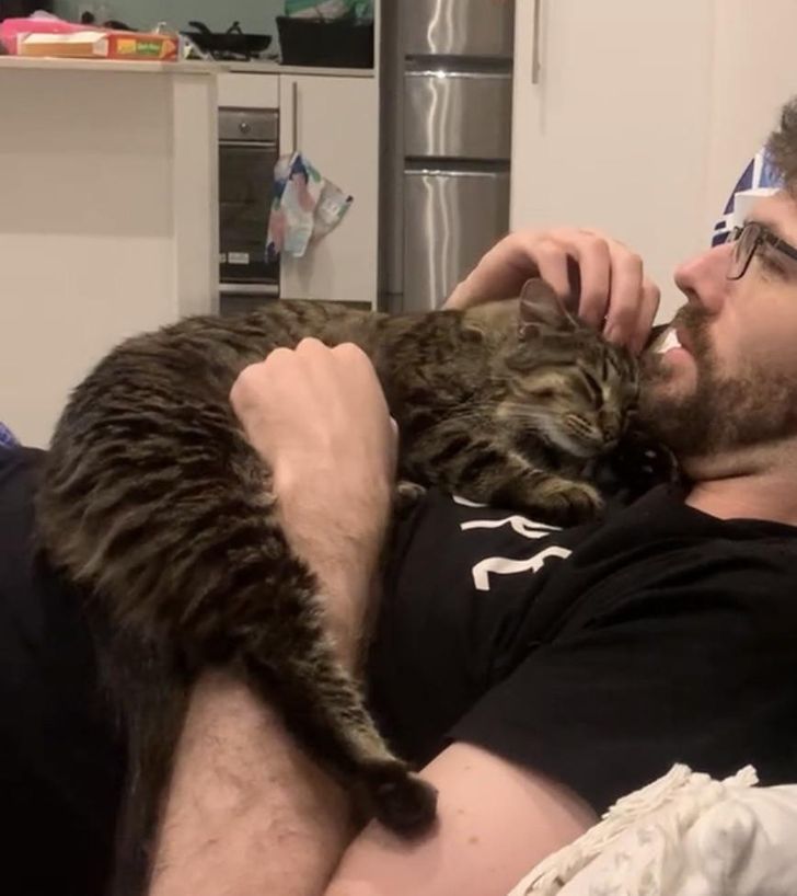 20+ девушек, которые вынуждены стоять в стороне и смотреть, как кошки уводят их парней