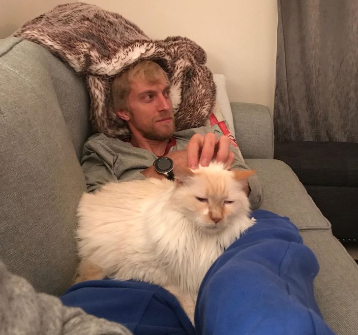 20+ девушек, которые вынуждены стоять в стороне и смотреть, как кошки уводят их парней