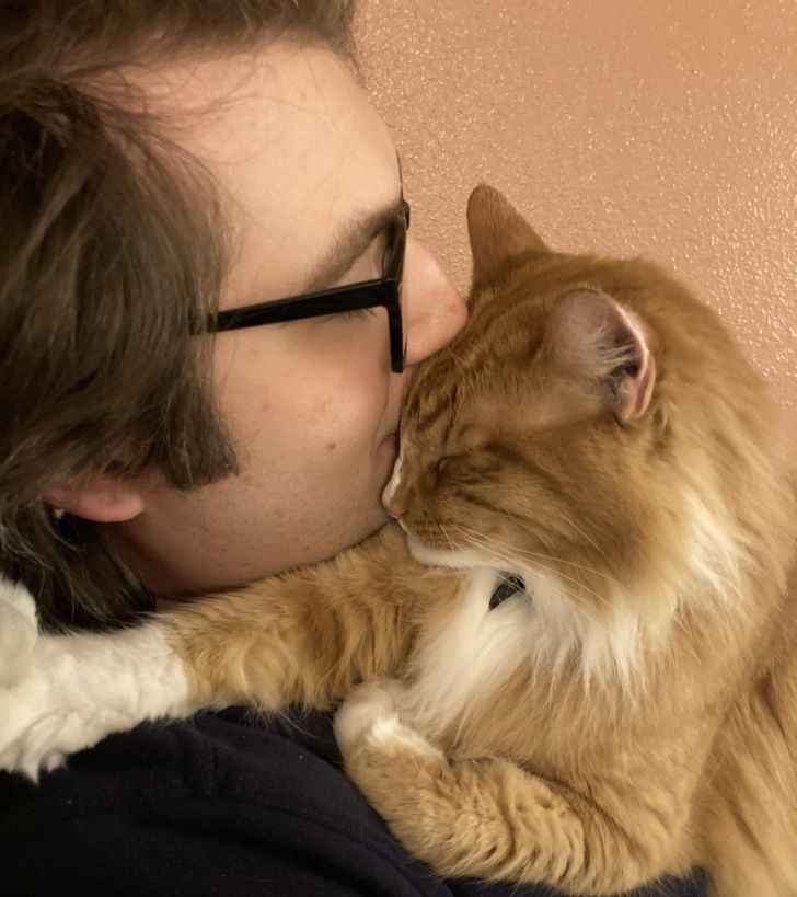 20+ девушек, которые вынуждены стоять в стороне и смотреть, как кошки уводят их парней