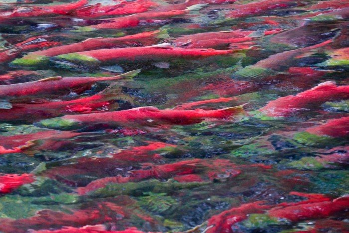 20 косяков, которые введут вас в транс