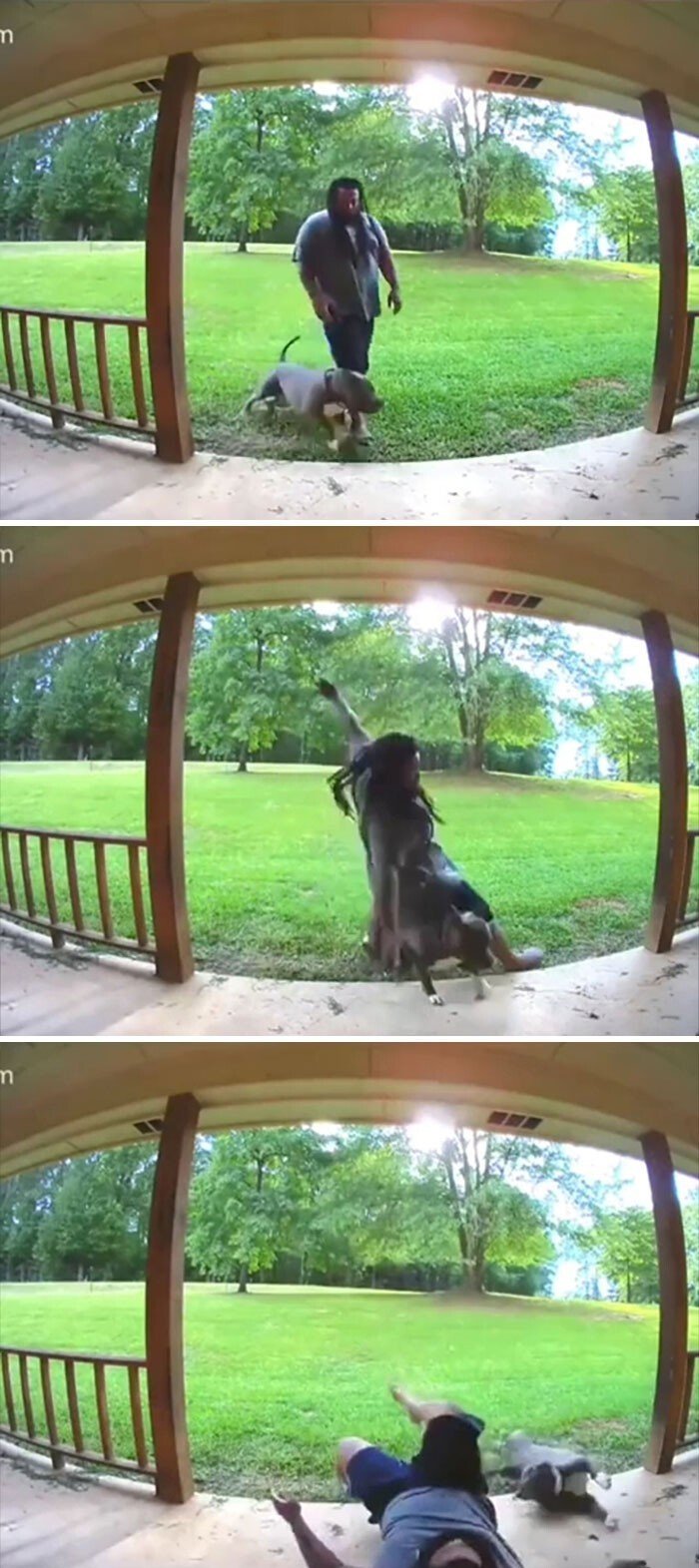 Смех и слезы: 20+ домашних фейлов, с которыми столкнулись пользователи сети