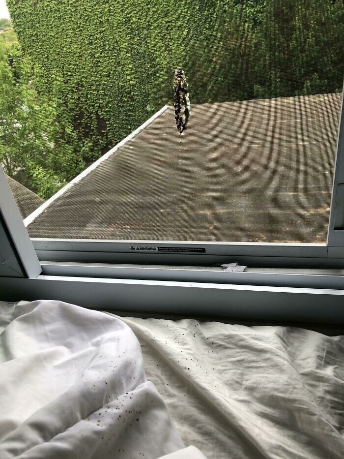 Смех и слезы: 20+ домашних фейлов, с которыми столкнулись пользователи сети