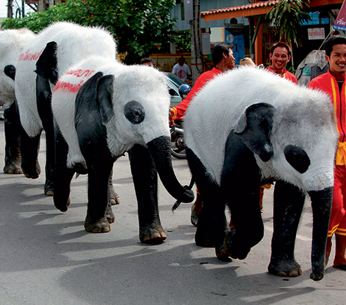 Фото №1 - Слонопотамия. 13 фотоисторий из жизни слонов
