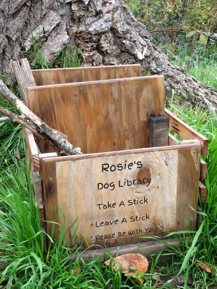 16 фотоисторий о добре и чуде, которые согреют душу в этой предновогодней суете