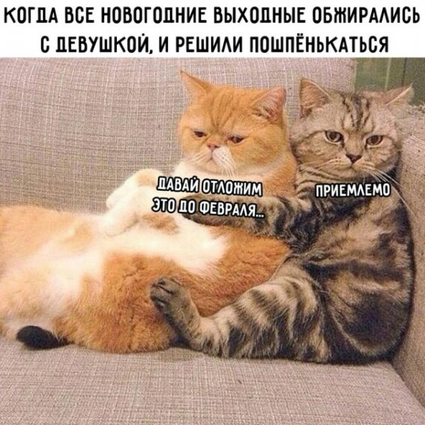 Картинки и мемы для настроения