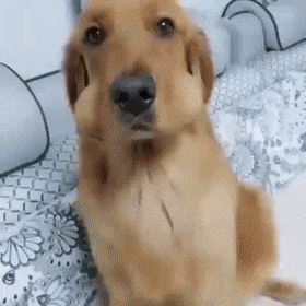 Интересные гифки 7 января 2022 года