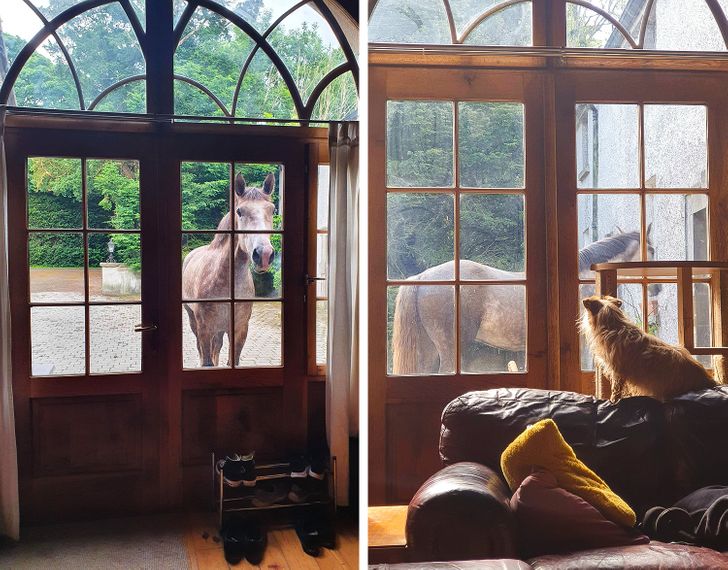 35+ снимков из Ирландии, которые пропитаны колоритом и самобытностью до последнего пикселя