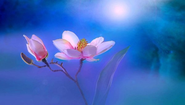 Экспедиция 35: Регулярная шизофрения