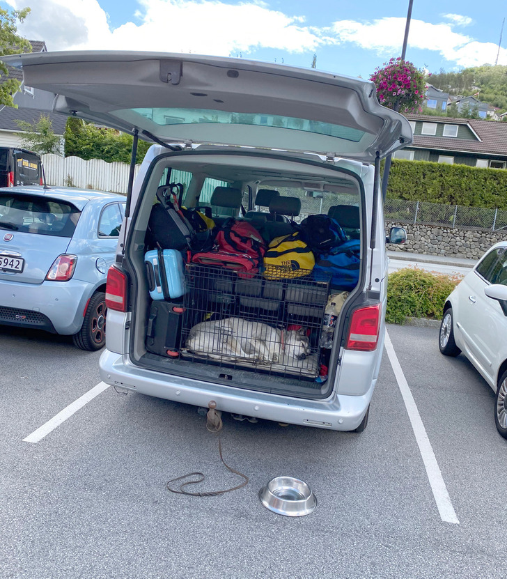 25 фотографий из Норвегии, увидев которые приезжие диву даются. А для местных это обыденное дело