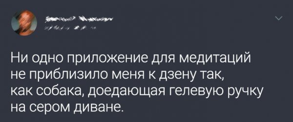 Подборка философских твитов