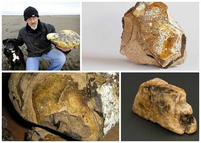 Самое загадочное животное планеты Земля