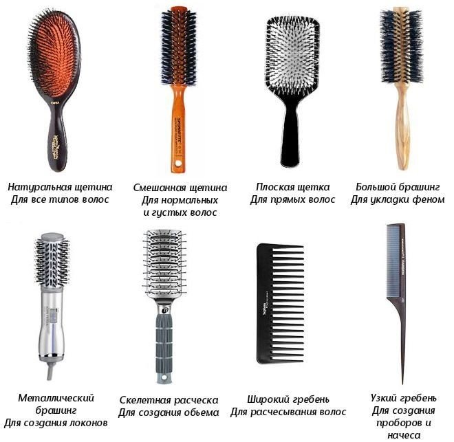 Сколько видов того, что вы видите каждый день: 20 инфографик с обычными вещами