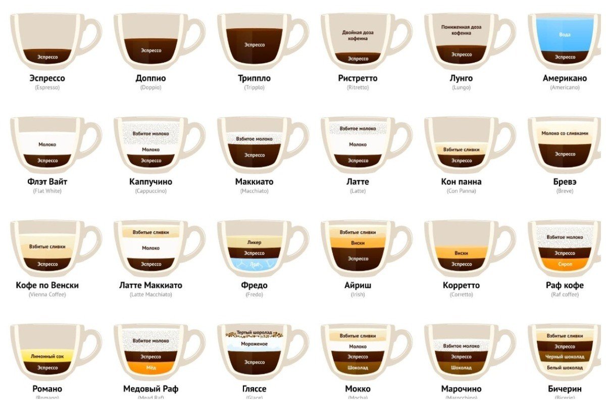 Сколько видов того, что вы видите каждый день: 20 инфографик с обычными вещами