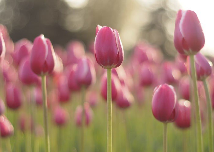 25 самых неожиданных проявлений доброты в мировой истории 25 самых неожиданных проявлений доброты в мировой истории