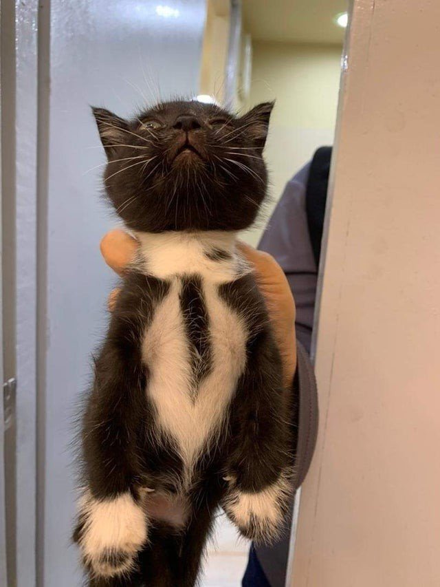 Уникальные вещи, которые можно увидеть лишь раз в жизни