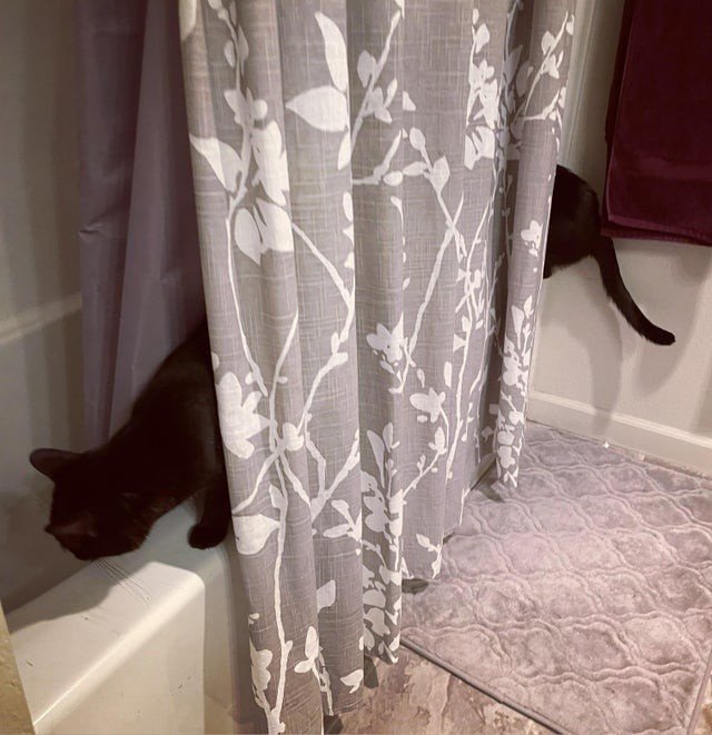 Фотографии, на которые придется посмотреть дважды