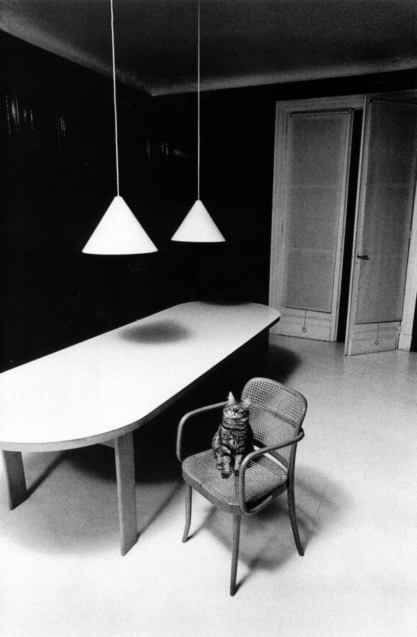 Без кота и жизнь не та