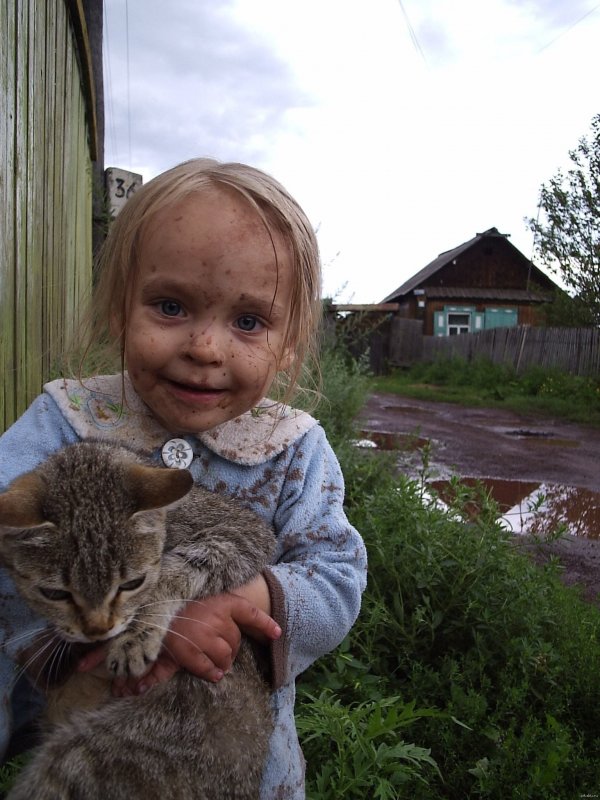 Без кота и жизнь не та
