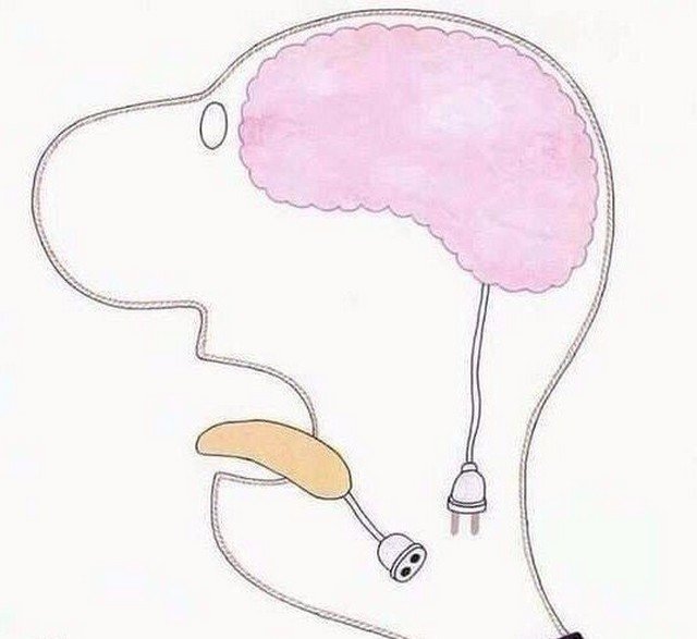 Рисунки и картинки с особым подтекстом