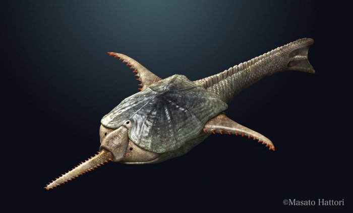 Дорьяспис: 2 слоя брони и пила на носу. Рыба, которая больше походит на боевого дрона, чем на животное Дорьяспис: 2 слоя брони и пила на носу. Рыба, которая больше походит на боевого дрона, чем на животное