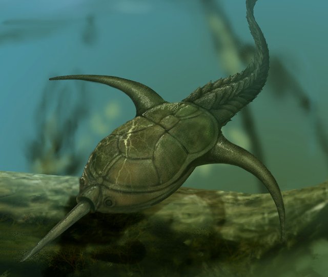 Дорьяспис: 2 слоя брони и пила на носу. Рыба, которая больше походит на боевого дрона, чем на животное