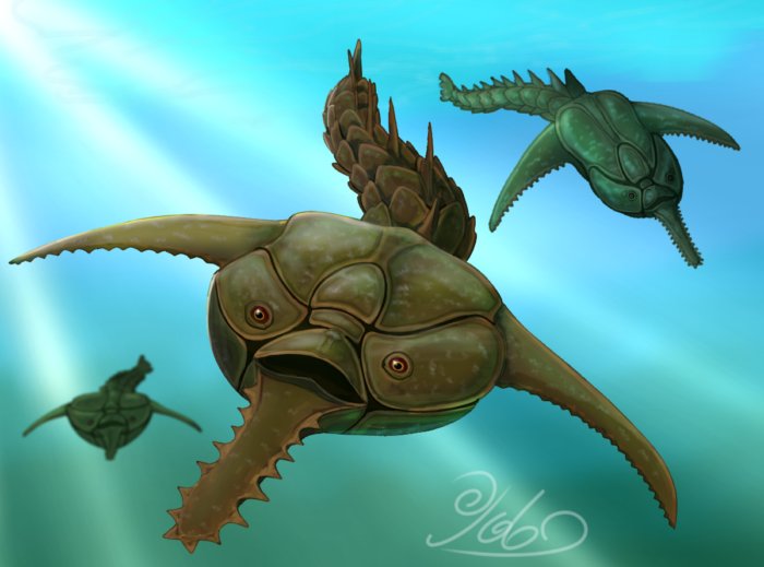 Дорьяспис: 2 слоя брони и пила на носу. Рыба, которая больше походит на боевого дрона, чем на животное