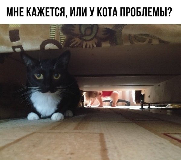 Картинки и мемы