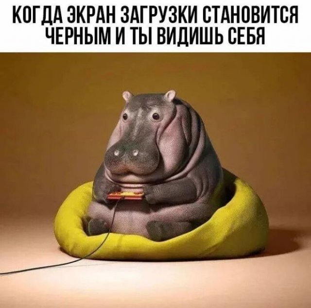 Мемы для геймеров