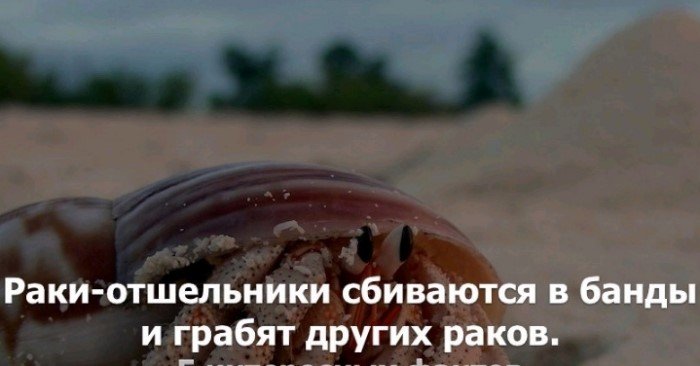 Краткие факты и интересные фотографии