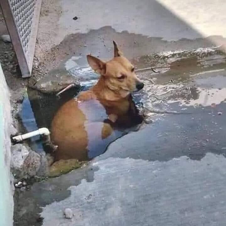 Bigpicture ru 479caa3a58f8508c8916d74bd17d80e0