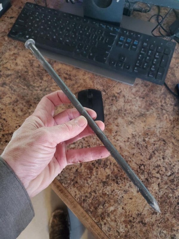 Подборка снимков из серии все познается в сравнении Подборка снимков из серии все познается в сравнении