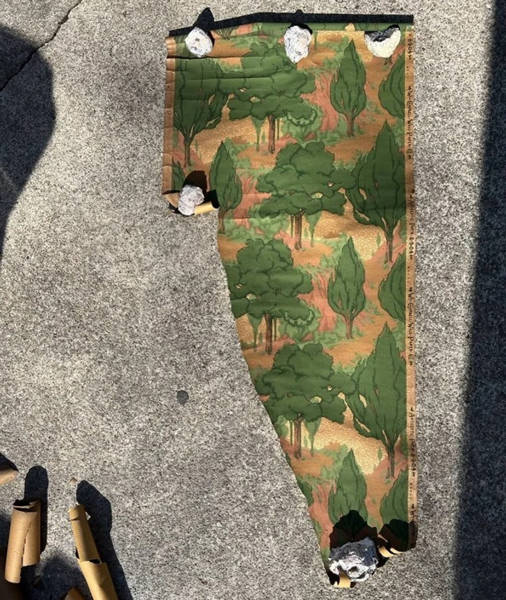 19 человек, которые обнаружили в доме такой сюрприз, что им можно только позавидовать