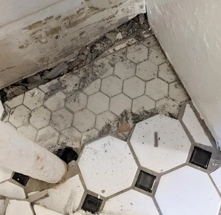 19 человек, которые обнаружили в доме такой сюрприз, что им можно только позавидовать