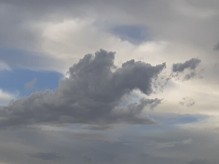 30 великолепных образчиков парейдолии 30 великолепных образчиков парейдолии