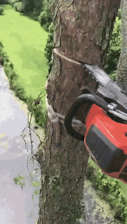 Подборка гифок (25 гифок) - 21.06.2022