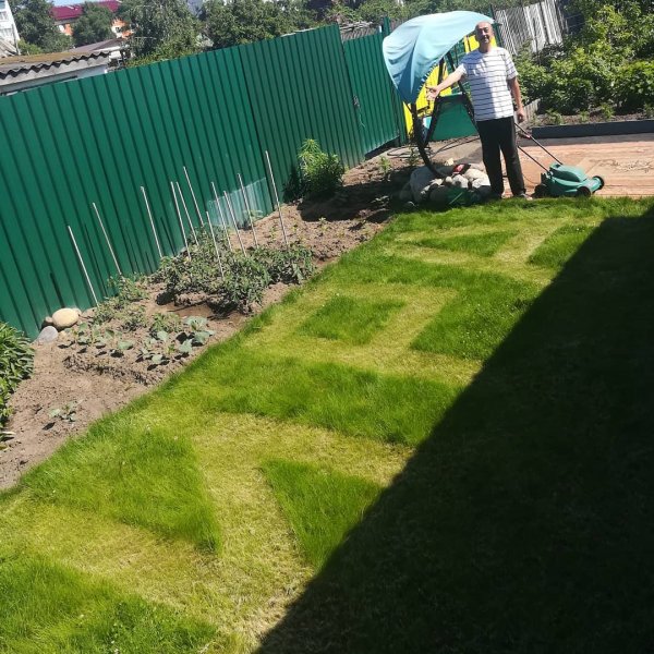 Первый раз в этом году подстриг газон!