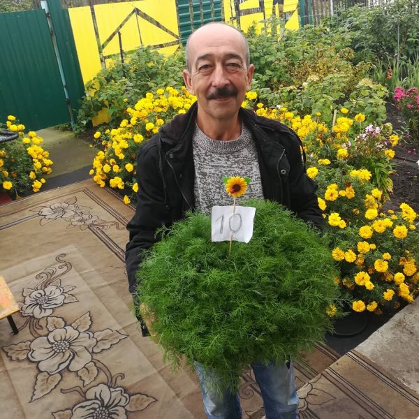 Отбиваю» налог и членские взносы за садовый участок