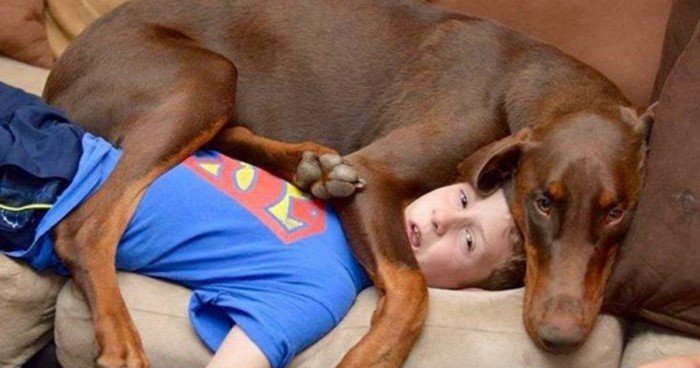 Домашние животные совершенно не знают, что такое личное пространство