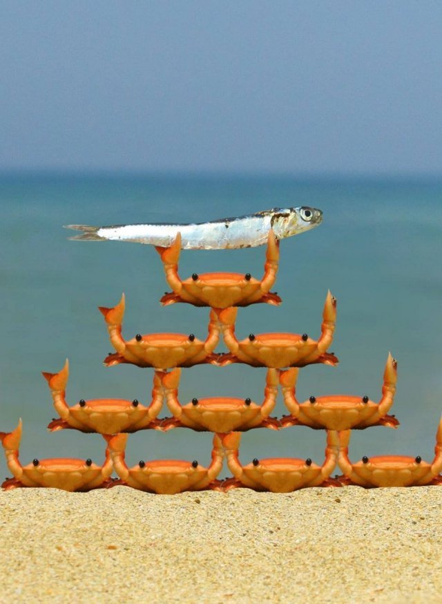 Лучшие мемы про маленького крабика с рыбкой в клешнях